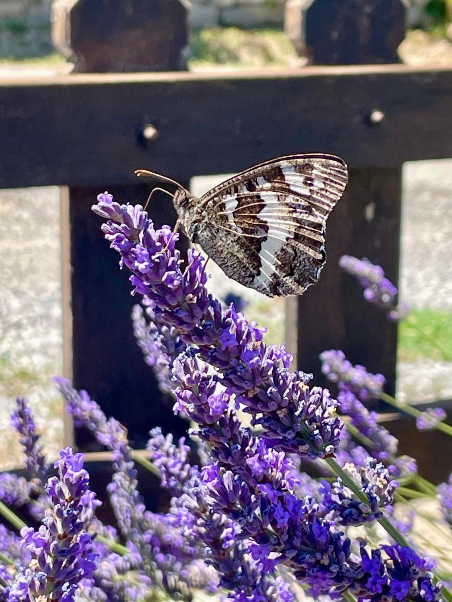 Gite L'Inattendu Vacheres Luaran gambar